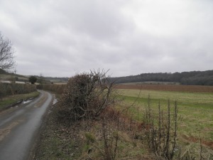 Smalldean Lane